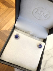 Tanzanite and Diamond Halo Stud Earrings